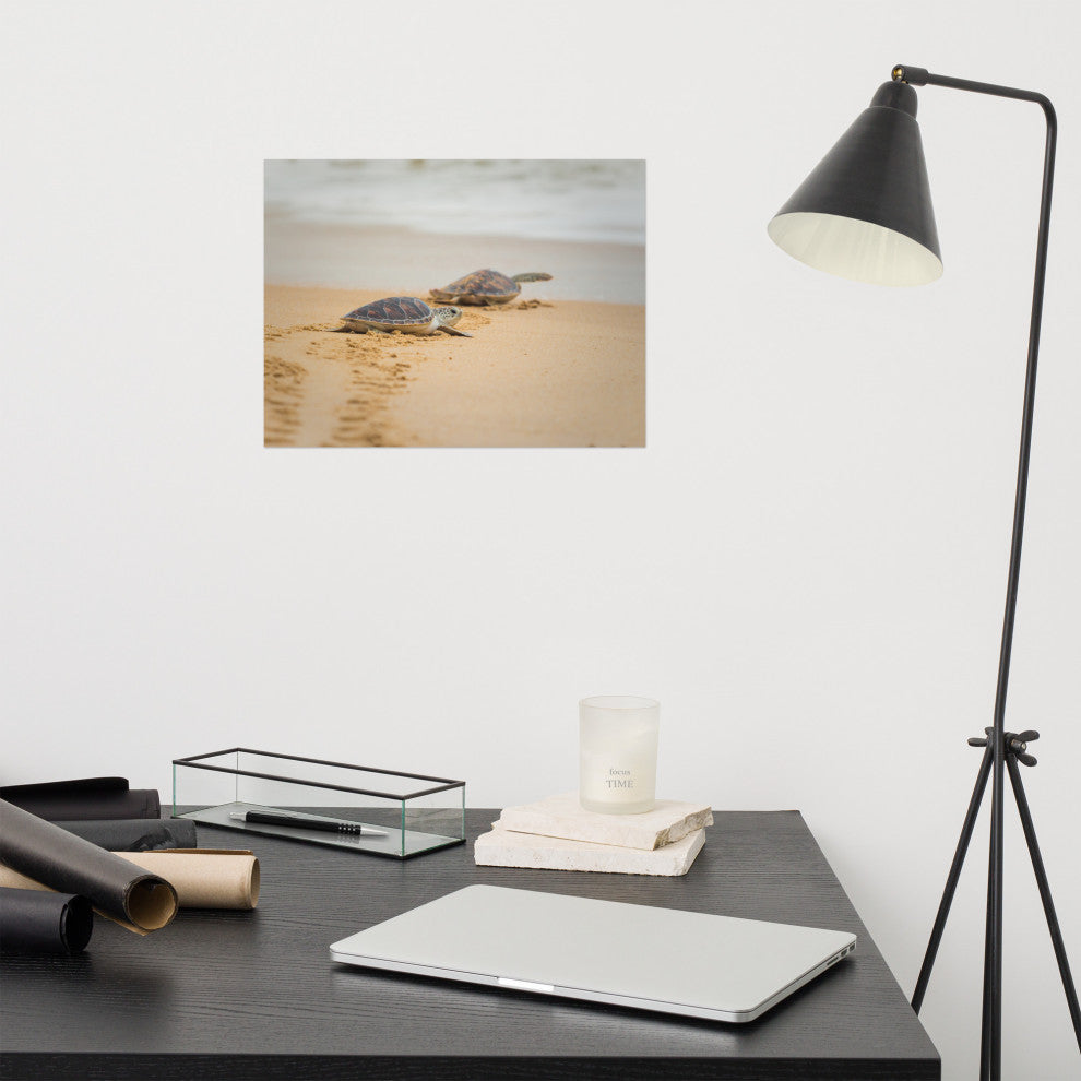 Baby Hawksbill Sea Turtle On The Beach Animal Wildlife Loose Wall Art Print, 12" X 16"