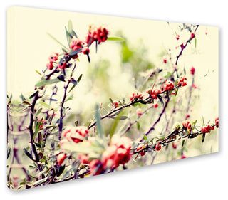 'Summer Melody' Canvas Art by Beata Czyzowska Young