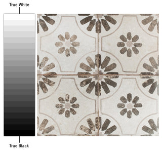 Kings Blume Encaustic Ceramic Floor and Wall Tile, Neor Black