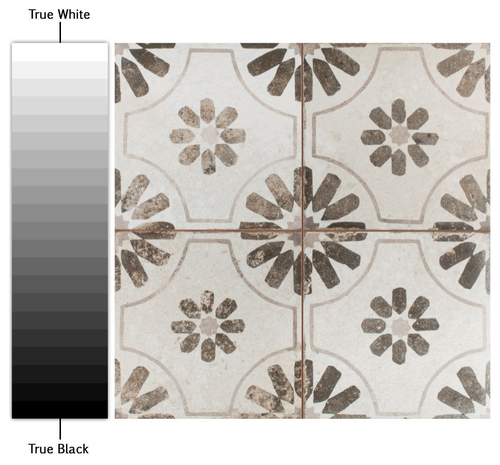 Kings Blume Encaustic Ceramic Floor and Wall Tile, Neor Black