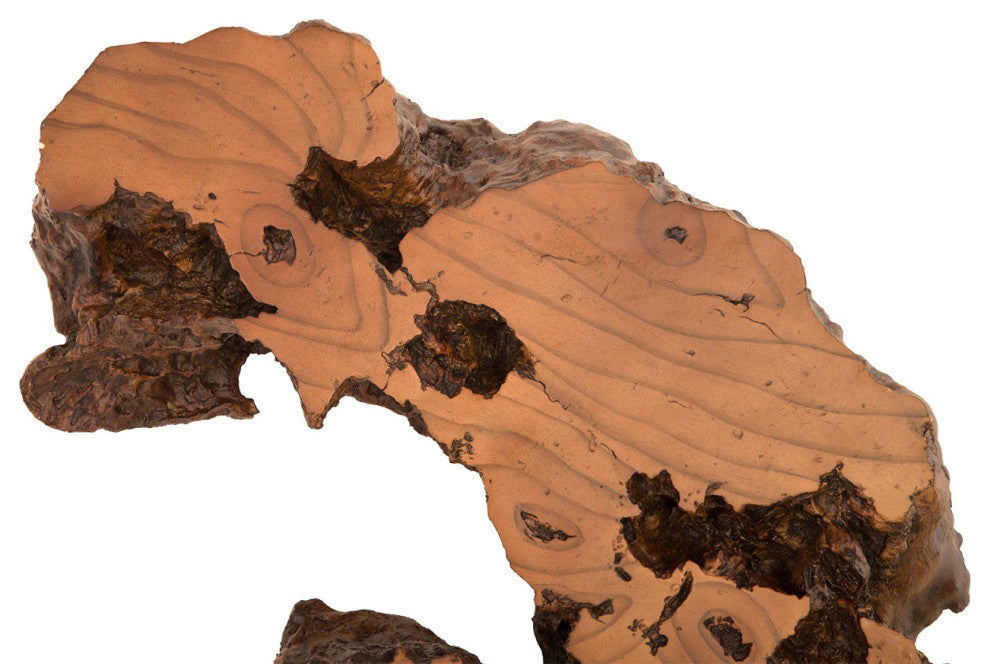 Burled Root Wall Art, Faux Bois