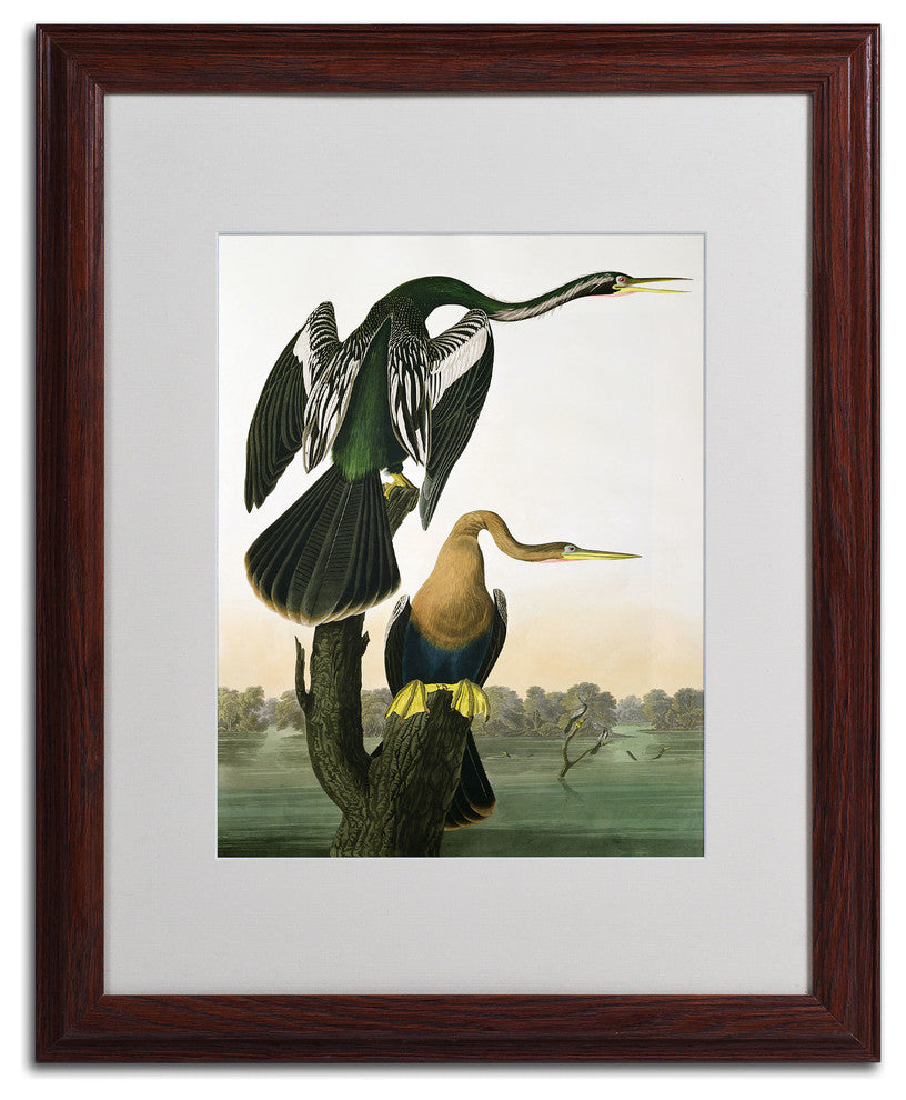 'Black-Billed Darter' Matted Framed Canvas Art by John James Audubon