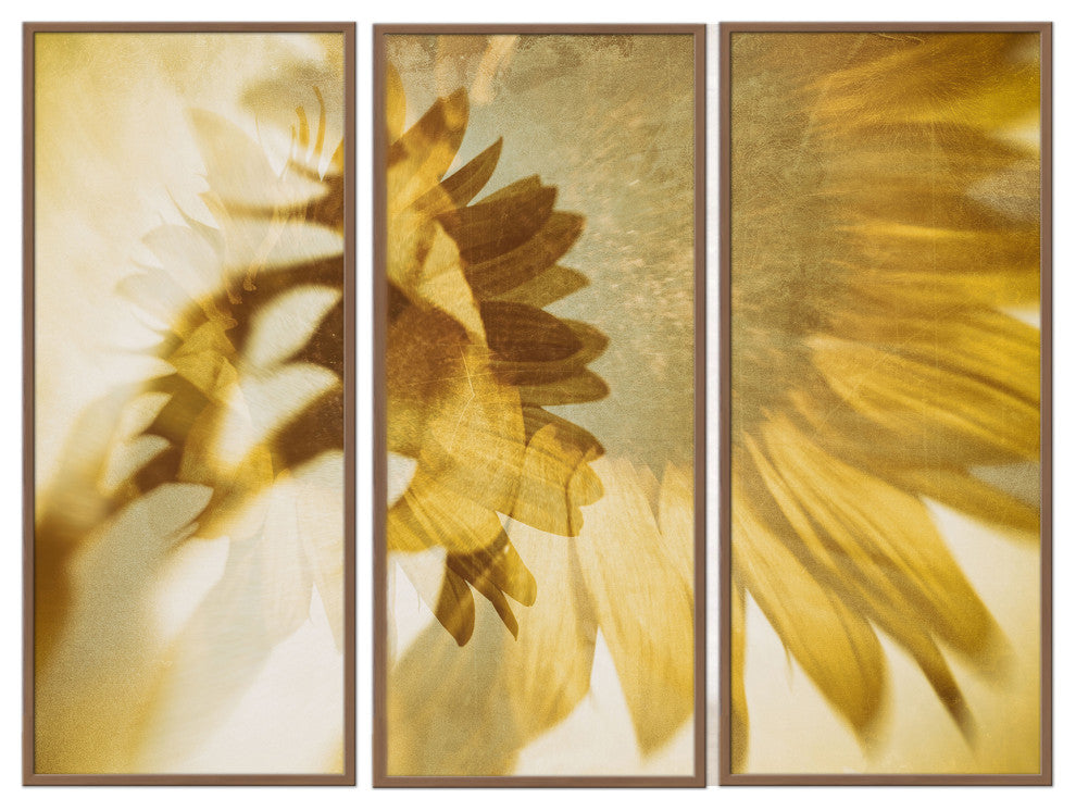Just like the Sun Framed 3-Piece Wall Art Set by Sherin Abdou, 12"x24", Framed