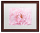 Cora Niele ''Rose Pink Rose'' Matted Framed Art