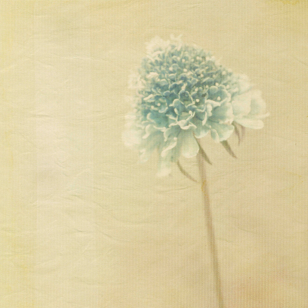 "I Almost Wished" Painting Print on Canvas by Jorgensen