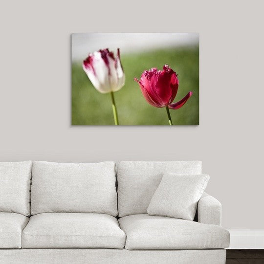 "Tulips" Wrapped Canvas Art Print, 36"x26"x1.5"
