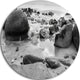 Moeraki Boulders Black N' White, Seashore Photo Disc Metal Artwork, 23"