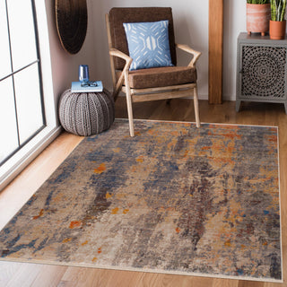 Distressed Desert Modern Area Rug, 7'9" X 10'
