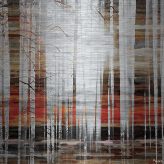 "Rays of Light" Print on Brushed Aluminum, 24"x24"