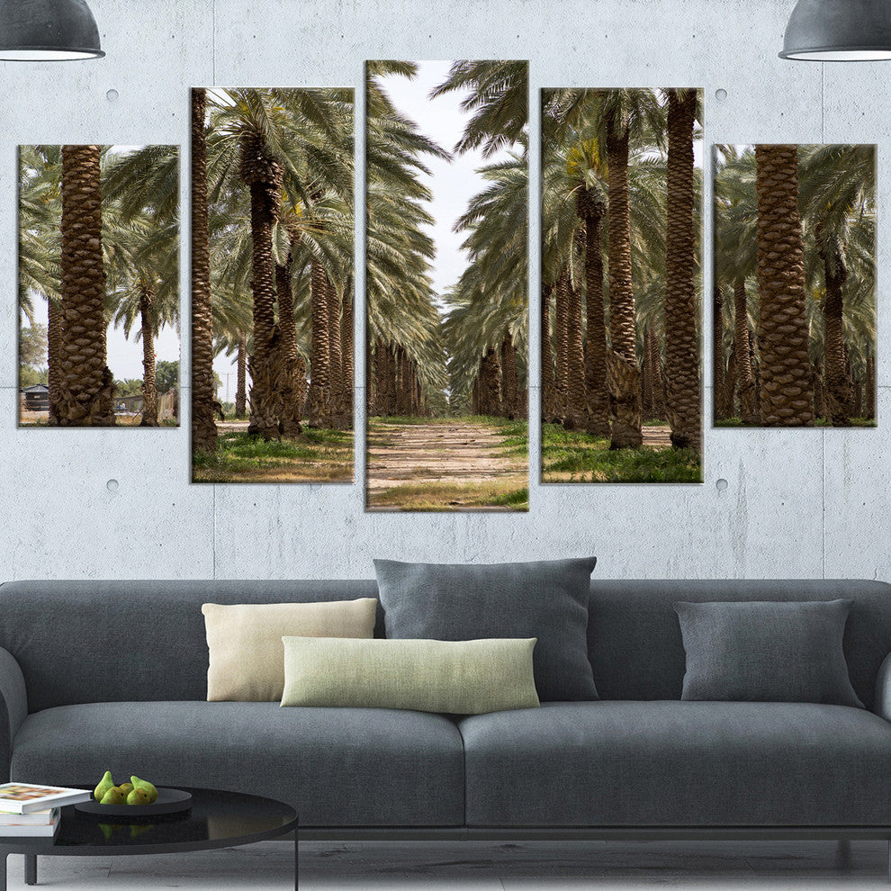 Date Palm Plantation Photography, Modern Forest Canvas Art, 60"x32", 5 Panels