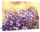 Purple Little Wild Flowers, Floral Canvas Art Print, 20"x12"