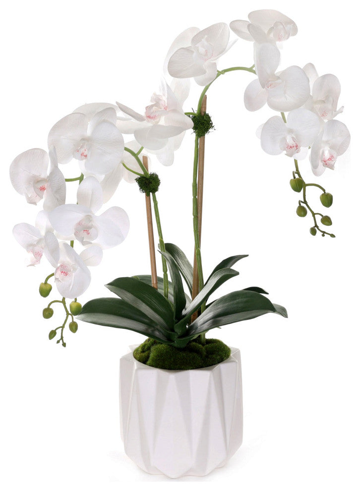 Real Touch Phalaenopsis Orchids in White Dimensional Pot