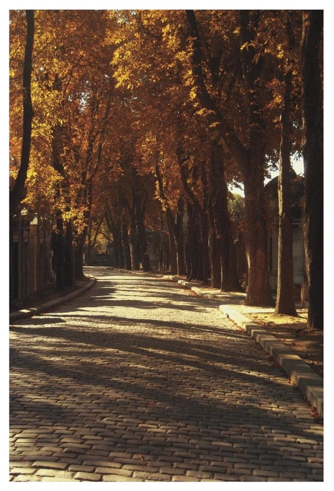 "Pere La Chaise" Digital Paper Print by Laura Marshall, 26"x38"