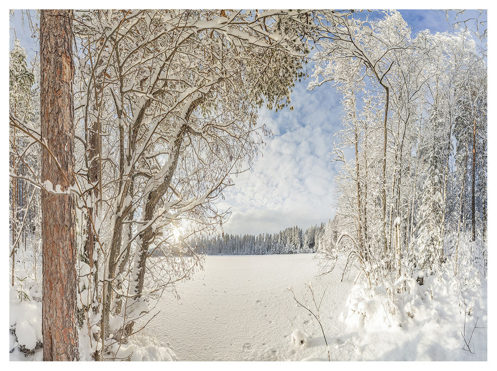 Lake in Winter Woods, Landscape Canvas Art Print, 40"x30"