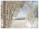 Lake in Winter Woods, Landscape Canvas Art Print, 40"x30"