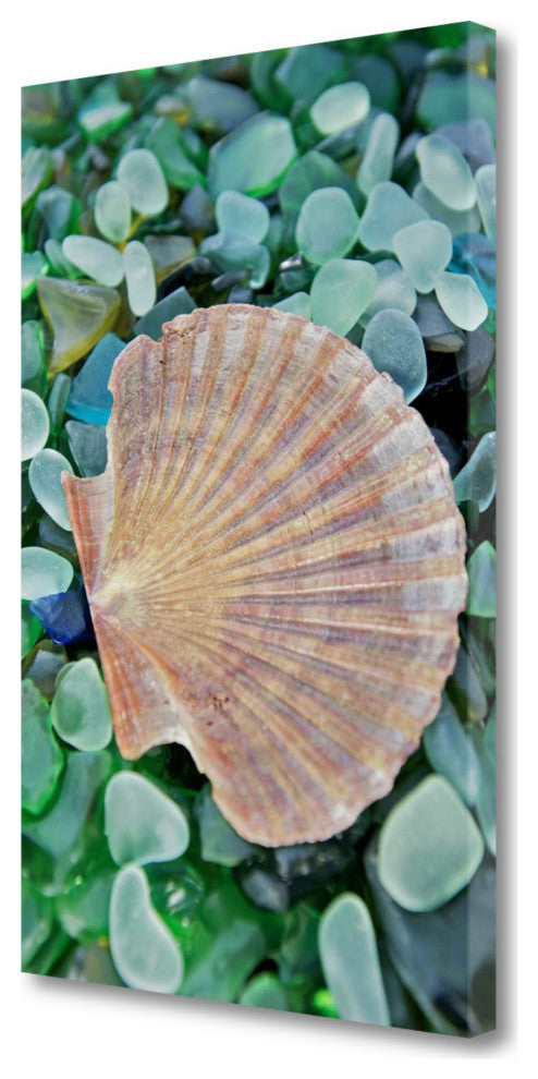 25" Seashell and Seaglass Giclee Wrap Canvas Wall Art