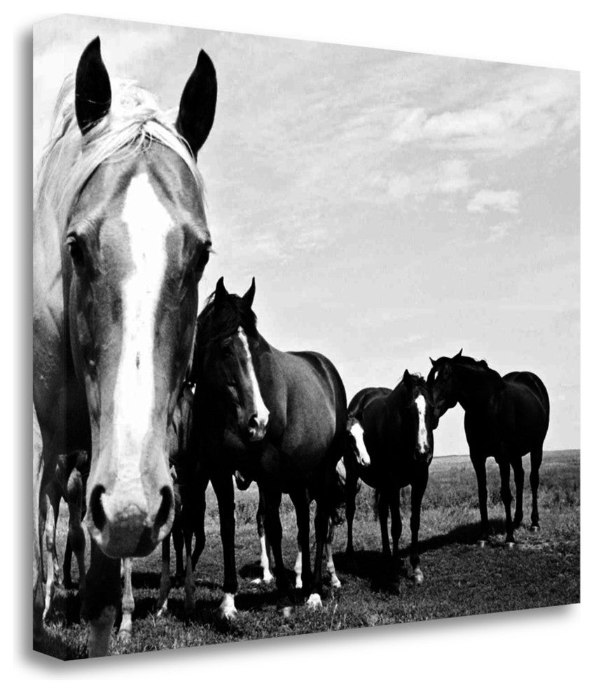 "Wild Whispers I" By Peggy Corpeny, Giclee Print on Gallery Wrap Canvas