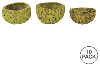 all Natural Mayan Coconut, Dried , Basil, 3-4" W