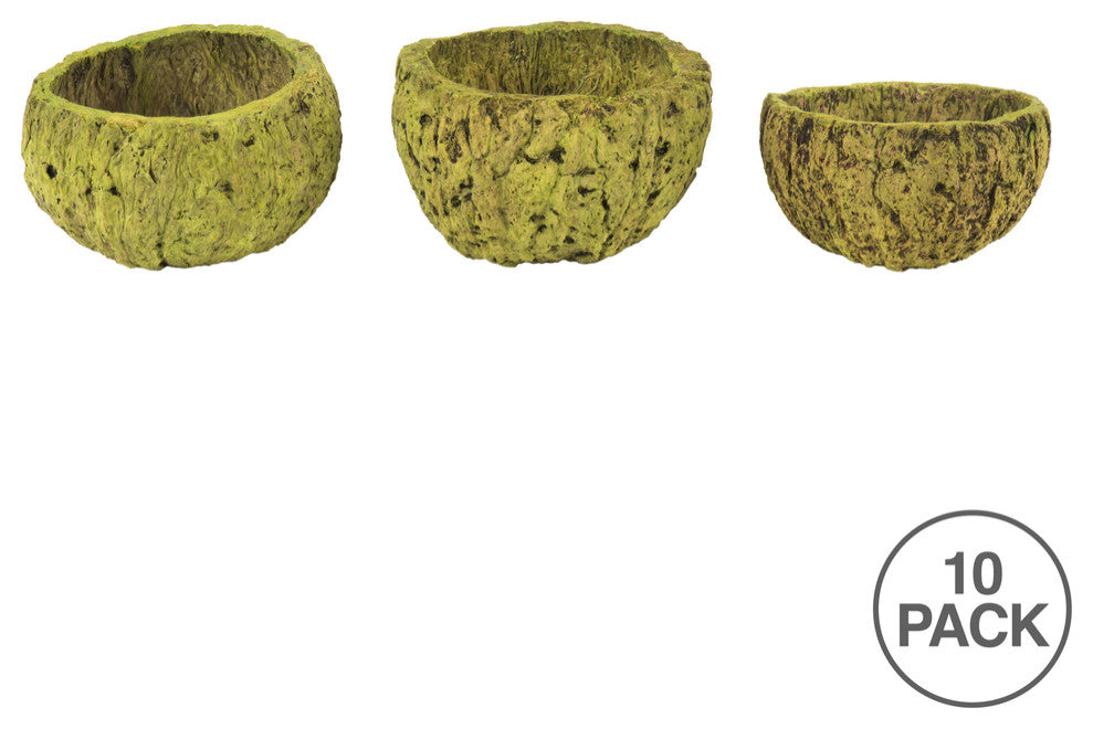 all Natural Mayan Coconut, Dried , Basil, 3-4" W