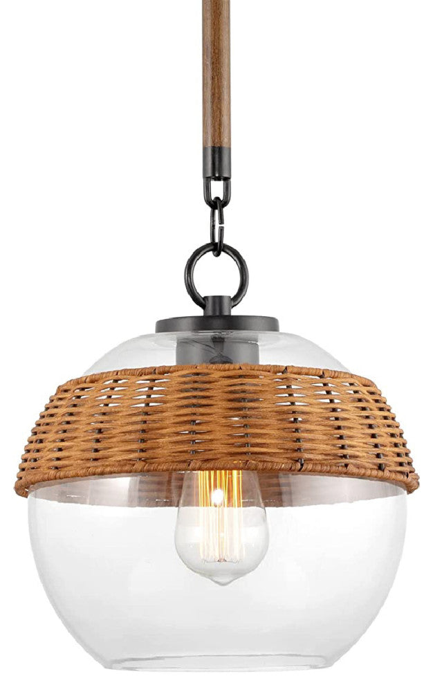 Black Finish pendant 1-Light Modern hanging Light Large Glass Globe Shade Light