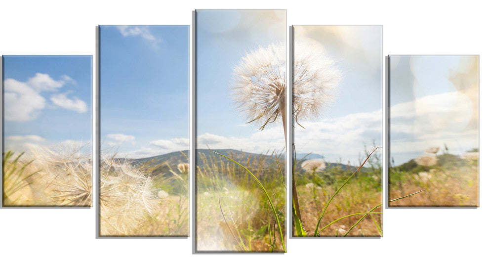 Blooming Dandelion under Bright Sky, Floral Canvas Art Print, 60"x32", 5 Panels