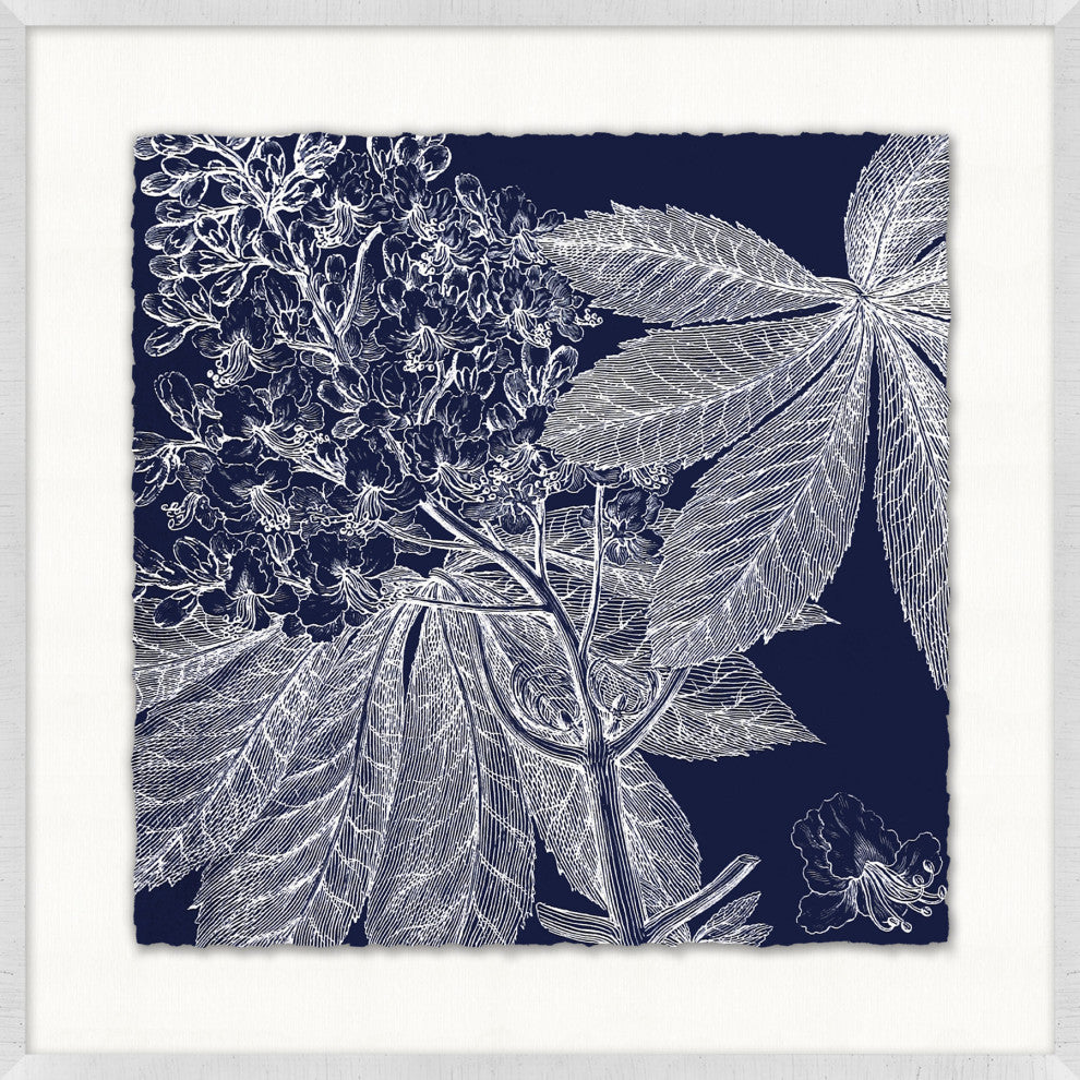 Transitional Leaf Composition On Navy 1, Giclee Reproduction Artwork