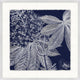 Transitional Leaf Composition On Navy 1, Giclee Reproduction Artwork
