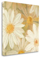 "Daisy Story Square II" By Kathrine Lovell, Giclee Print on Gallery Wrap Canvas