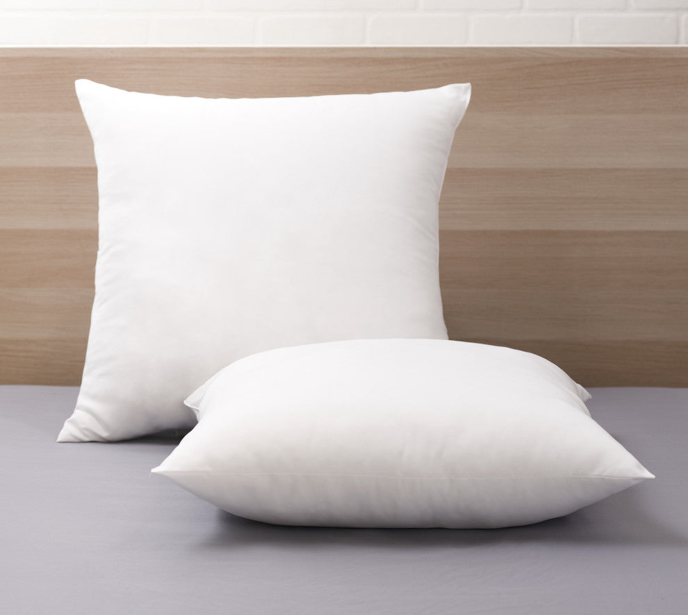 Modern Loft Soft Touch Euro Pillow, 2-Pack