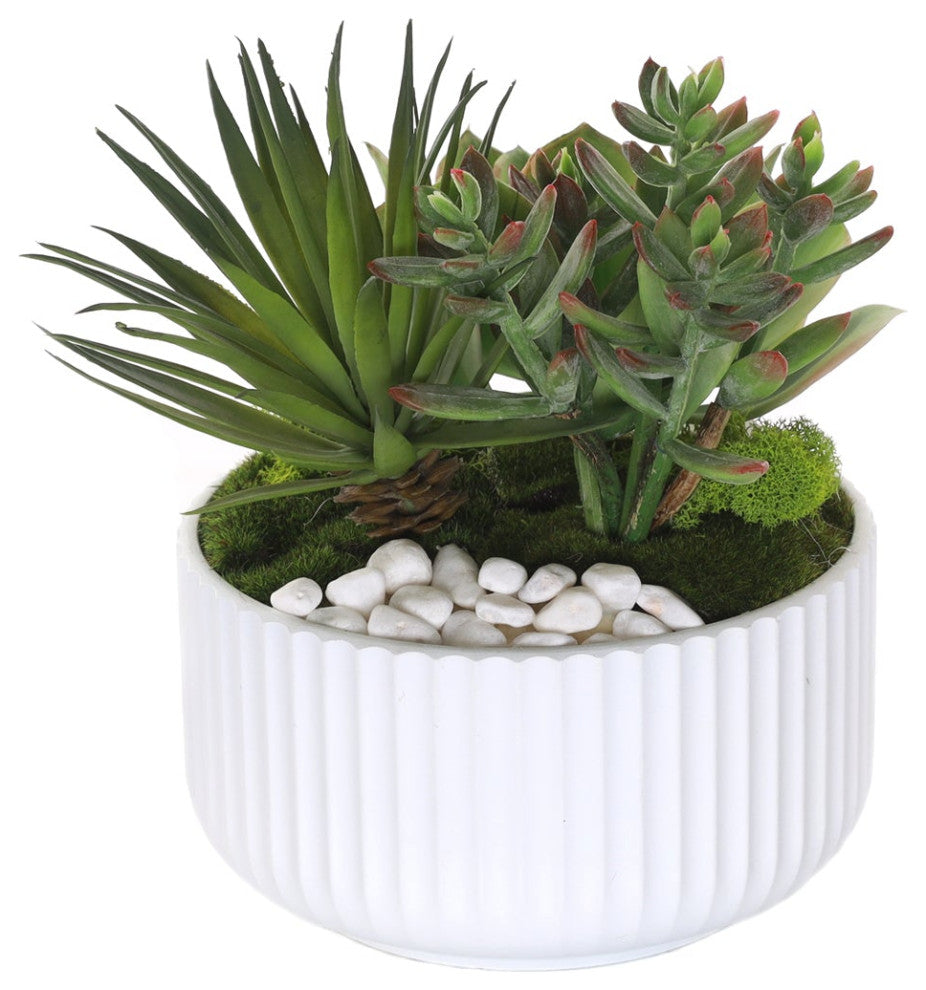 Succulents Arrangement With White Rocks, White Pot