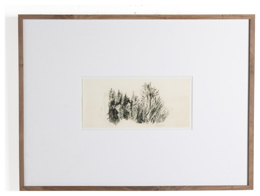 Tree Sketch By Dan Hobday