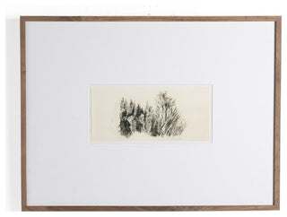 Tree Sketch By Dan Hobday