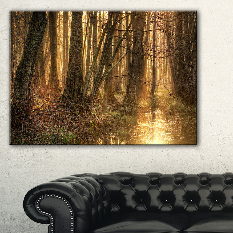 "Golden Morning in Dense Forest" Landscape Canvas Photo Print, 40"x20"