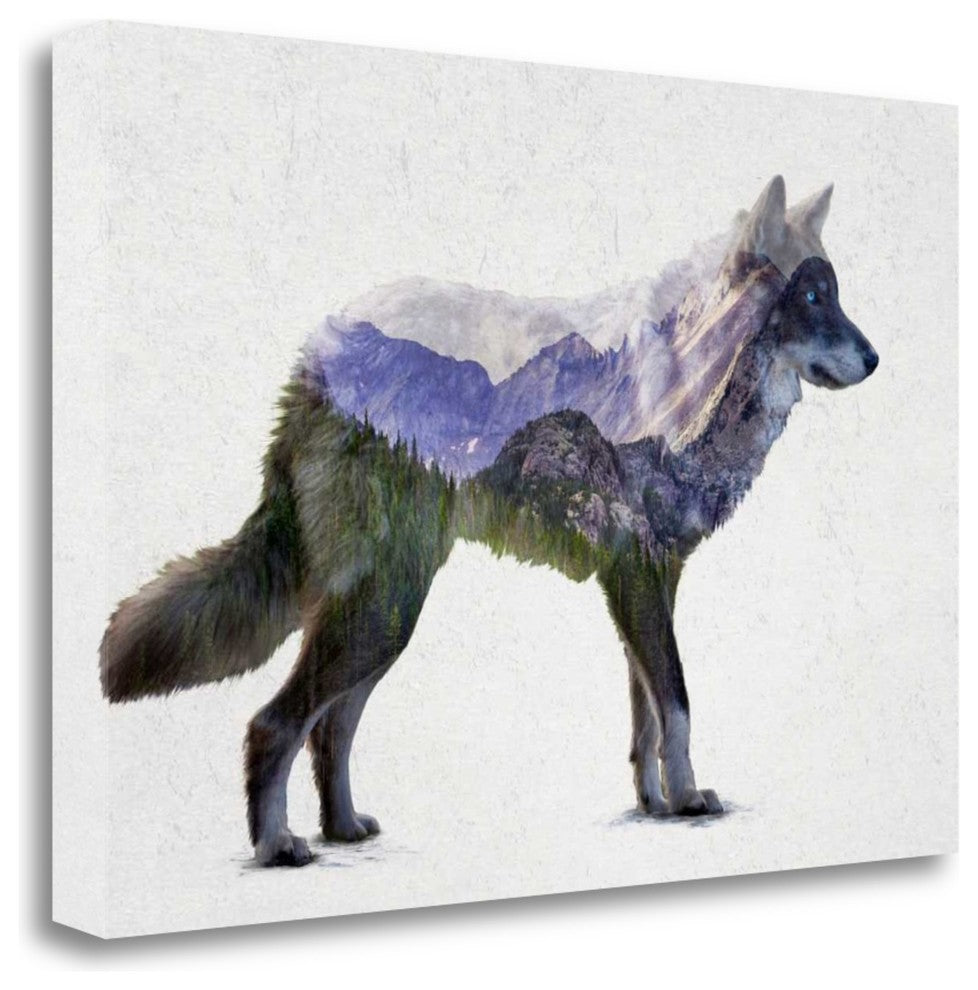 "Rocky Mountain Grey Wolf" By Davies Babies, Giclee Print on Gallery Wrap Canvas