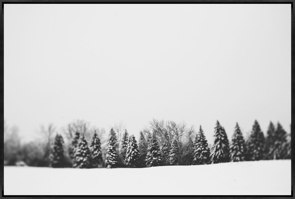 54x36 Pine Line, Framed Artwork, Black