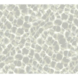 Leopard Rosettes Wallpaper