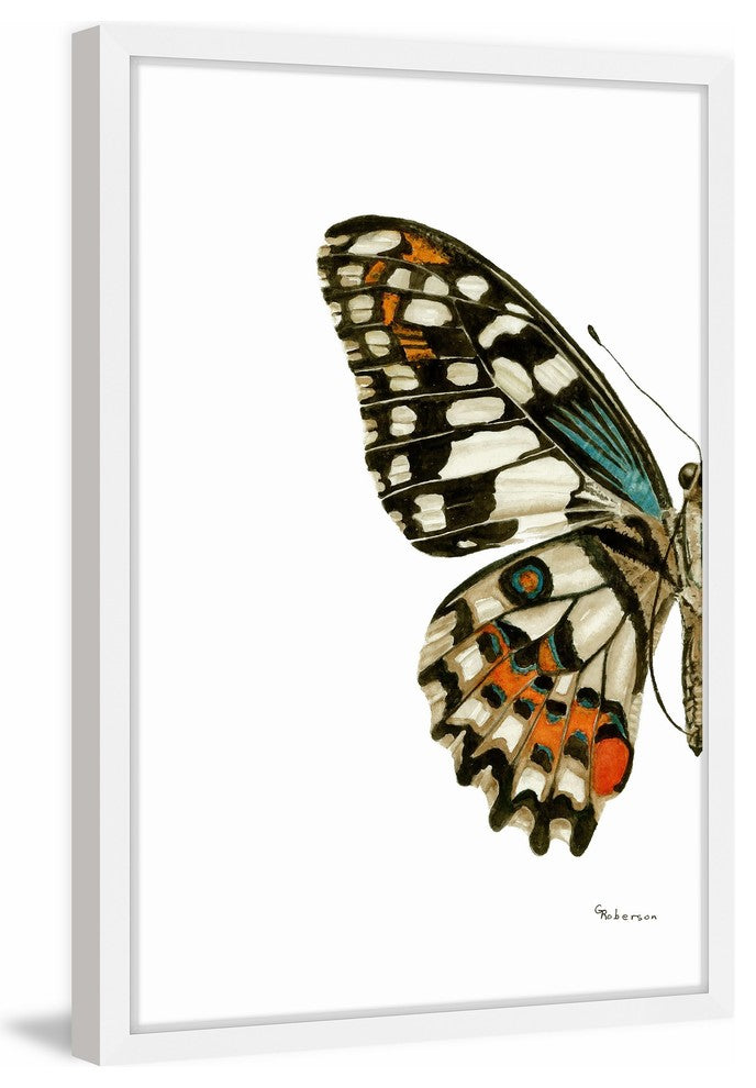 "Papilio Demoleus Lime Swallowtail" Framed Painting Print, 12"x18"