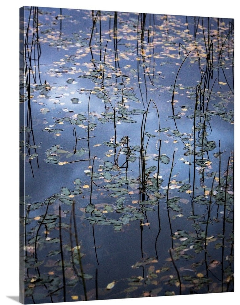 "Evening Calm II" Wrapped Canvas Art Print, 16"x20"x1.5"