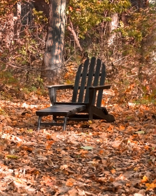 Ivy Terrace Classics Ultimate Adirondack Chair, Sunset Red