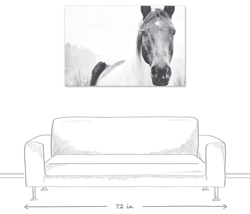 Black and White Lone Horse 32x48 Canvas Wall Art
