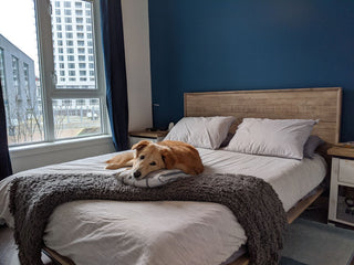 Gia Acacia Wood Panel Bed, Light Brown, King