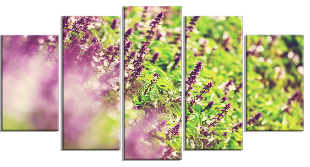 Beautiful Mint Flowers in Garden, Floral Canvas Art Print, 60"x32", 5 Panels