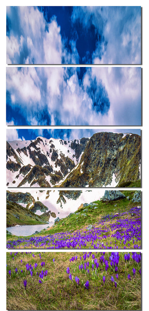 "Spring Blooming Crocus Flowers" Canvas Print, 5 Panels