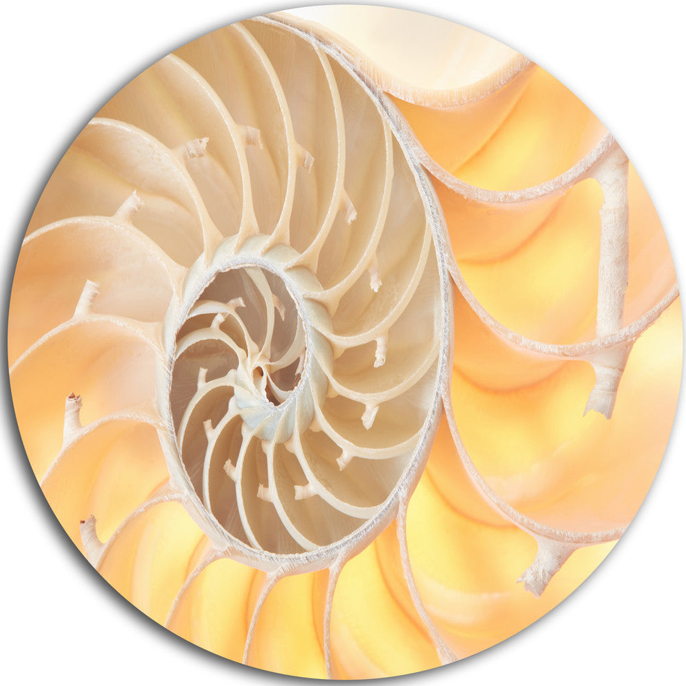 Golden Nautilus Shell Pattern, Abstract Art Round Metal Wall Art, 36"