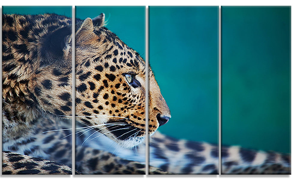 Vigilant Leopard Close Up View, African Canvas Print, 48"x28", 4 Panels