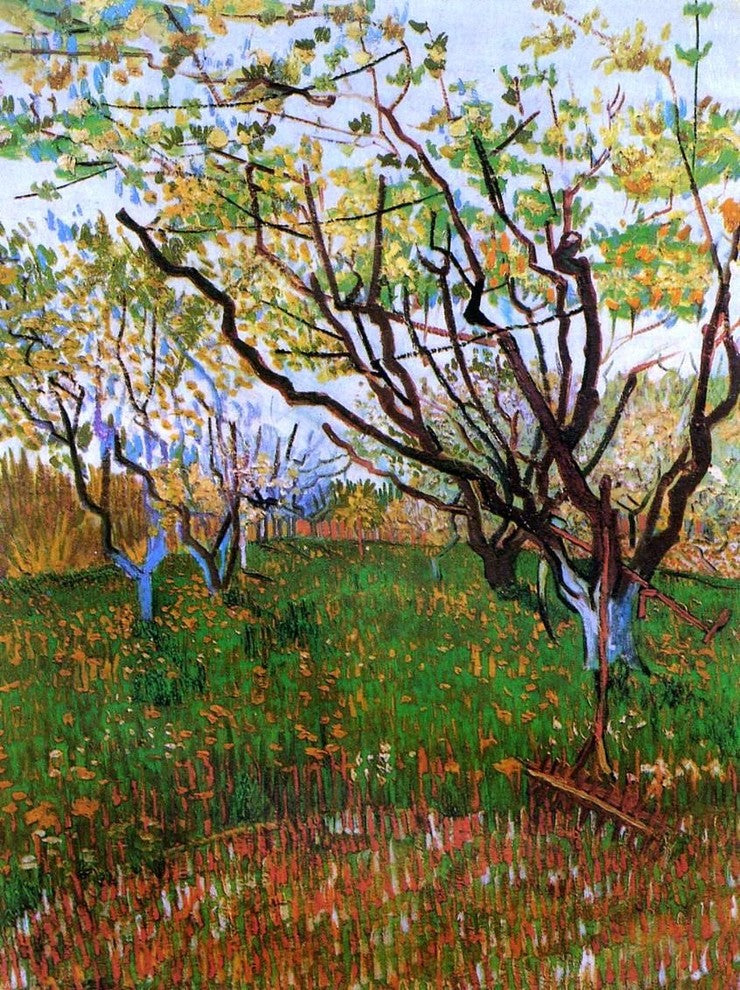 Vincent Van Gogh Orchard in Bloom Wall Decal