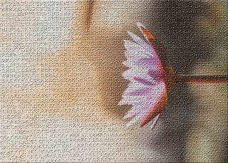 Meditation And Calming Moments 7 Area Rug, 5'0"x7'0"