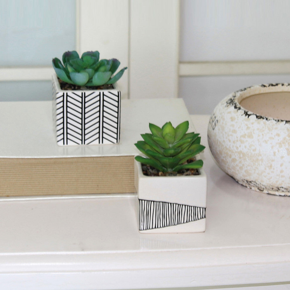 2-Piece Succulent, Tribal White Ceramic Pot Set, 4"