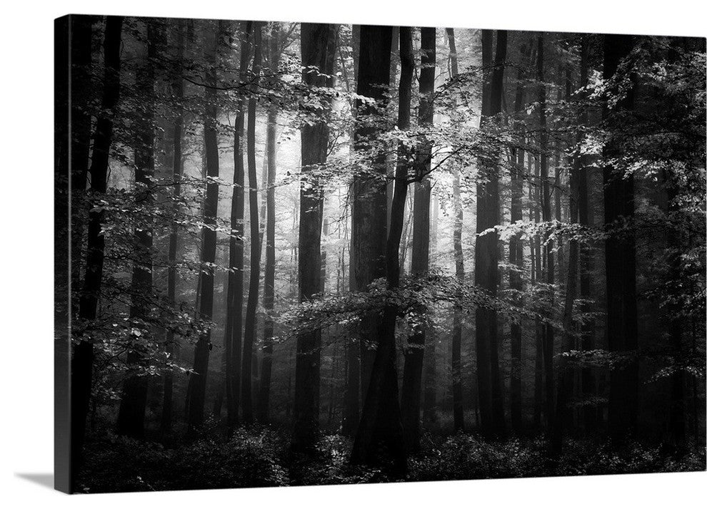 "Beauty In The Sorrow" Wrapped Canvas Art Print, 24"x16"x1.5"
