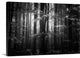 "Beauty In The Sorrow" Wrapped Canvas Art Print, 24"x16"x1.5"